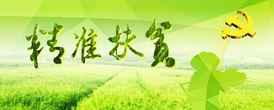 源码助力来宾精准扶贫，点亮新寨村幸福之路
