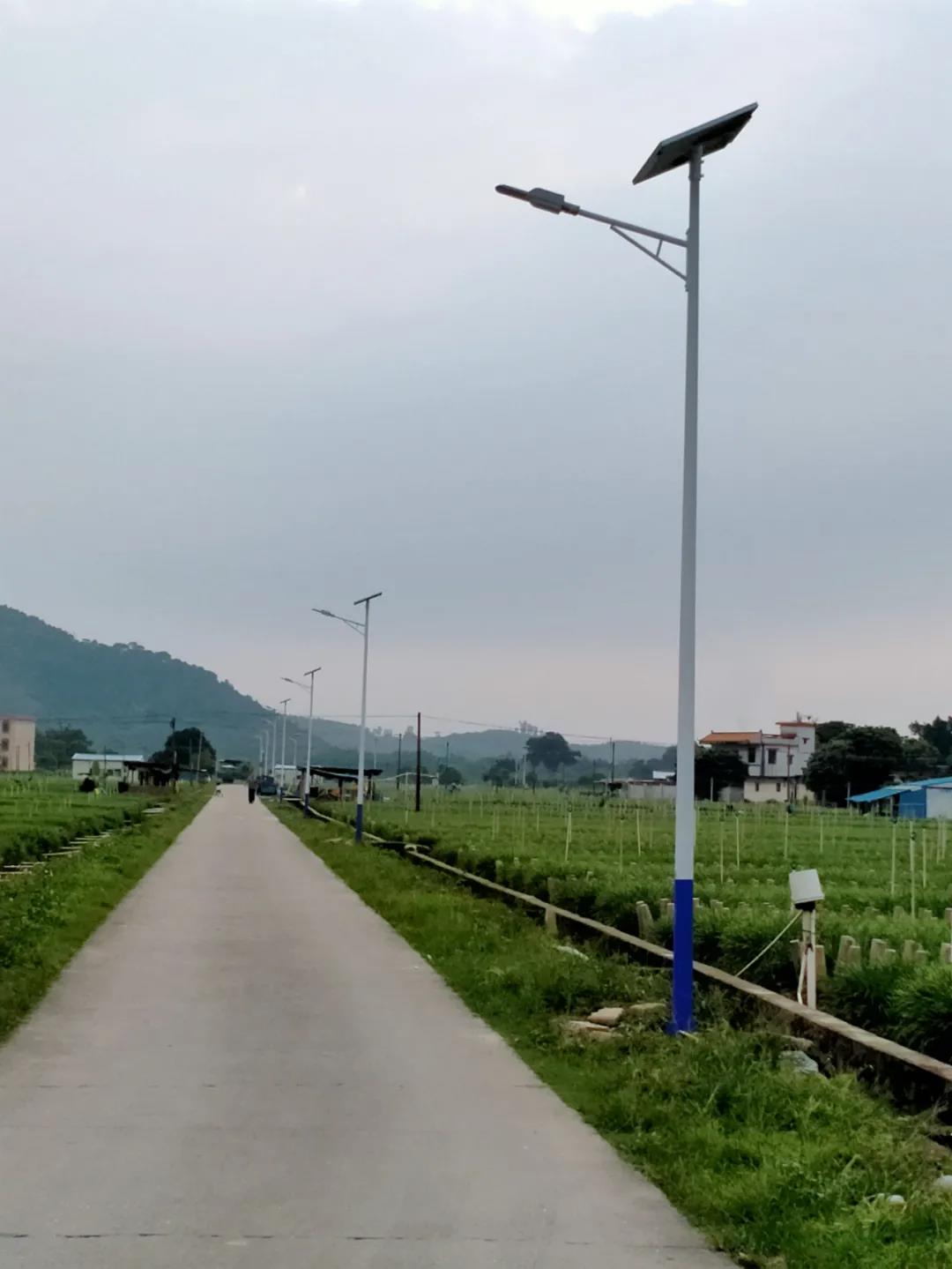 案例赏析〡云雁高飞，助力乡村振兴